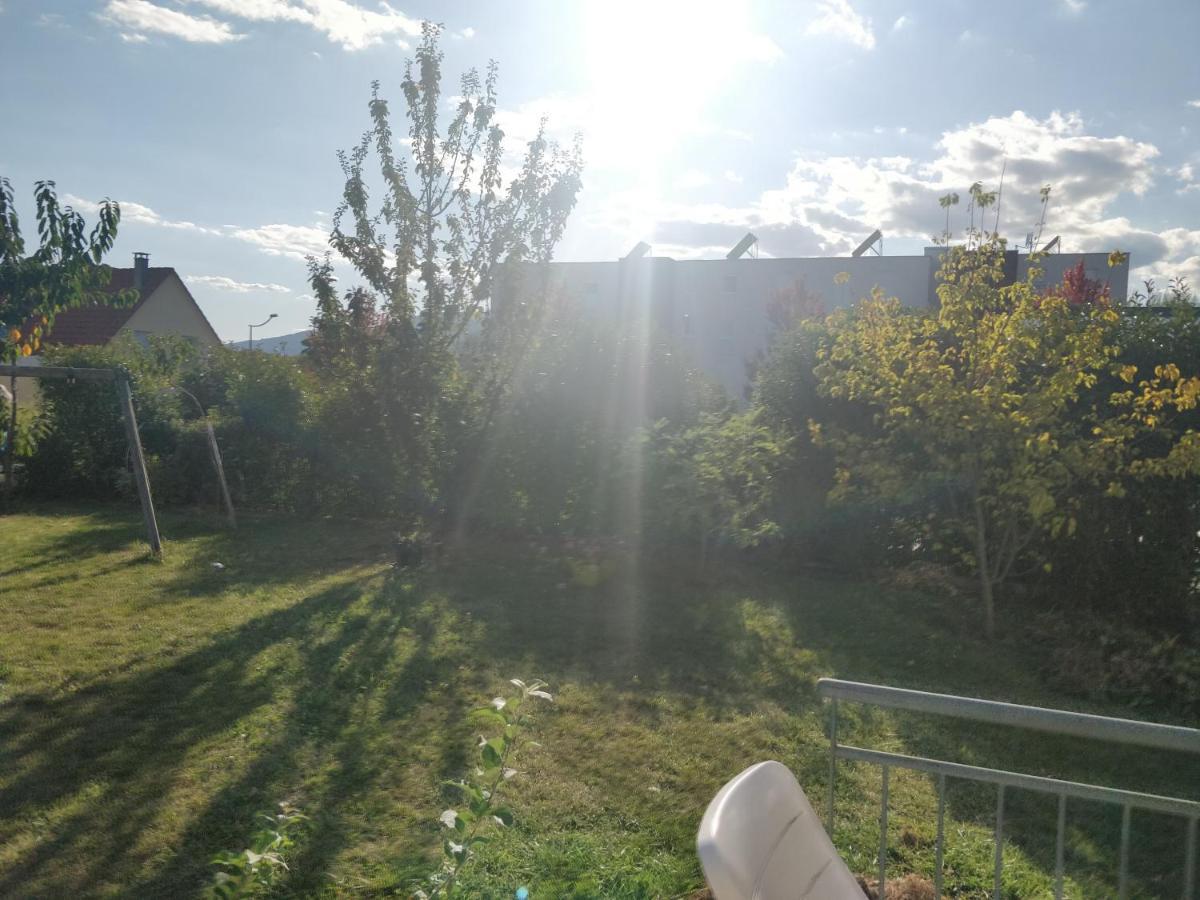 Tres Bel Appartement Neuf Et Moderne 63M2 A オベルネ エクステリア 写真